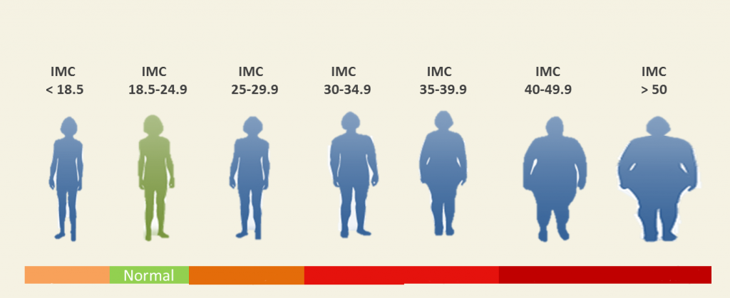 calcul IMC age