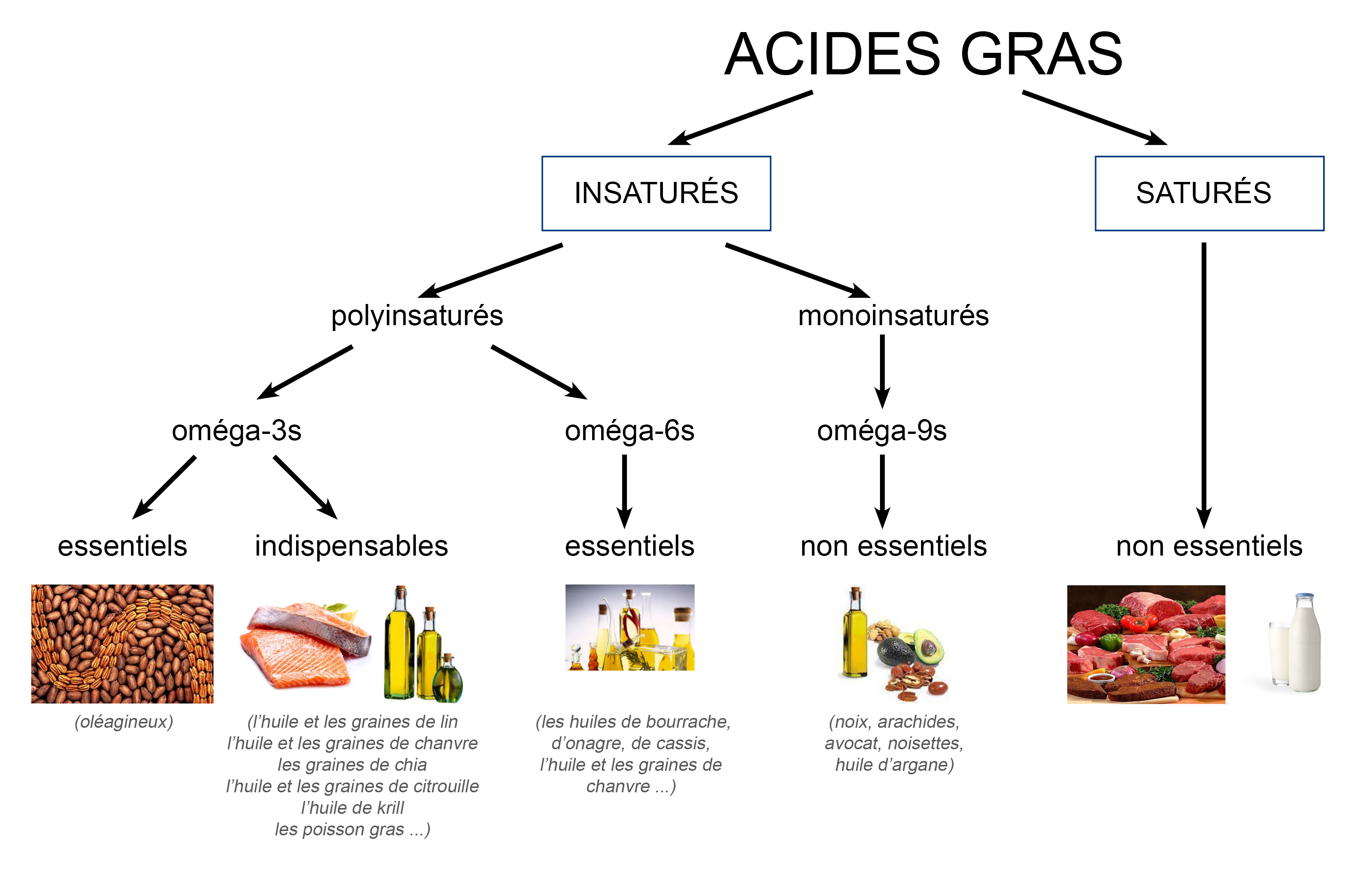 schema omega 3 6 9 acides gras essentiel santé