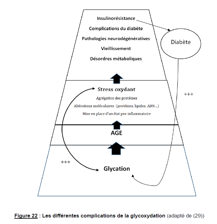 glycation ou réaction de Maillard 